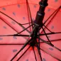Preview: Axiom Discs | Regenschirm | Watermelon Edition