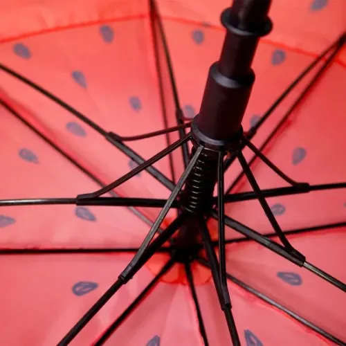 Axiom Discs | Regenschirm | Watermelon Edition