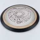 MVP_Disc_Sports_Relativity_Proton_20250801_09418